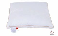 Svinedrengen hovedpude mellem