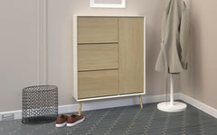 Alba skoskab med 1 låge og 3 skuffer