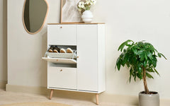 Hub skoskab 1655 med dør