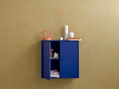 Montana Skab 1118 (COVER) - D30